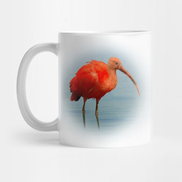 Scarlet ibis by Guardi